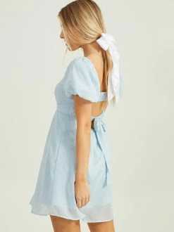 Polly Puff Sleeve Dress 7 Polly Puff Sleeve Dress -Pippa Shop 001062 CDE3362 FZD LIGHT BLUE 03