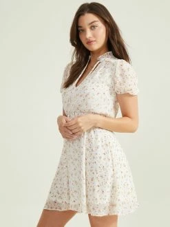 Carilyn Puff Sleeve Dress -Pippa Shop 001125 CARILYNA IVORY PINK 02