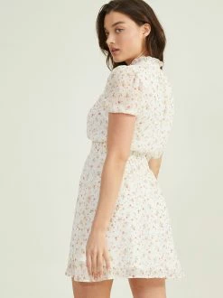 Carilyn Puff Sleeve Dress -Pippa Shop 001125 CARILYNA IVORY PINK 03